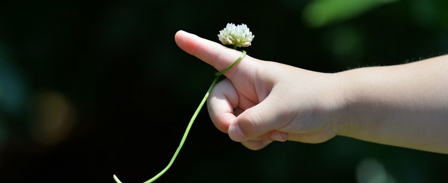 Jak wyciągnąć drzazgę dziecku? Domowe patenty mam