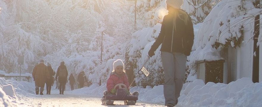 Jak spędzić bezpiecznie ferie 2022? Na śniegu, lodowisku na kuligu