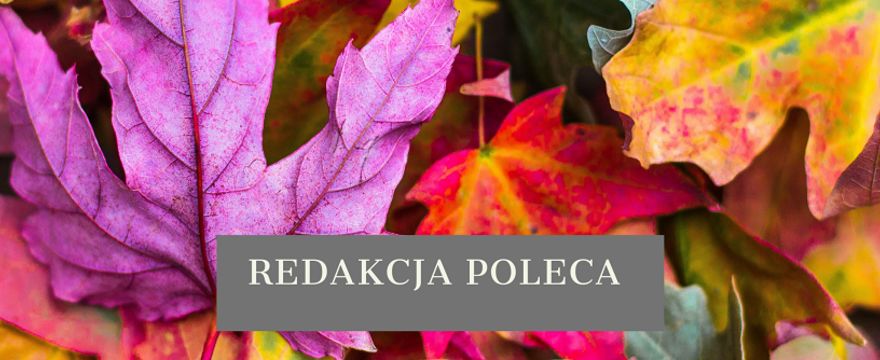 Redakcja poleca: dobra zabawa na jesienne wieczory i oczekiwanie na rodzinne święta!