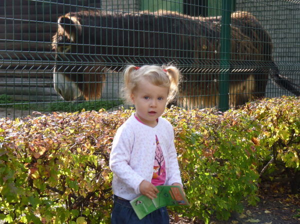 Przewodnik w  jesiennym zoo